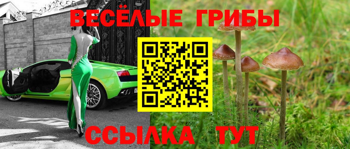 Галлюциногенные грибы Psilocybine cubensis Бутурлиновка